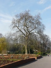 Lloyd Park
